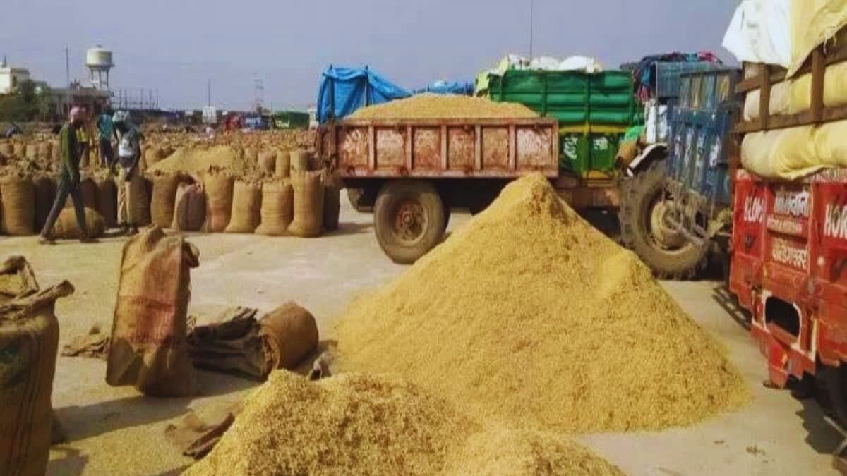 पंजाब में धान उठान की परेशानी होगी दूर, केंद्र ने लाखों टन के गोदाम की दी मंजूरी