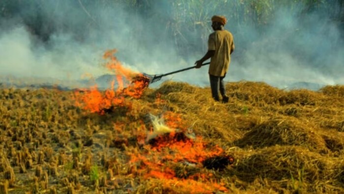 कैथल में पराली जलाने के आरोप में 18 किसान गिरफ्तार. (सांकेतिक तस्वीर)