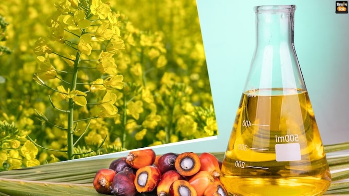 सरसों के तेल का थोक भाव क्या है?