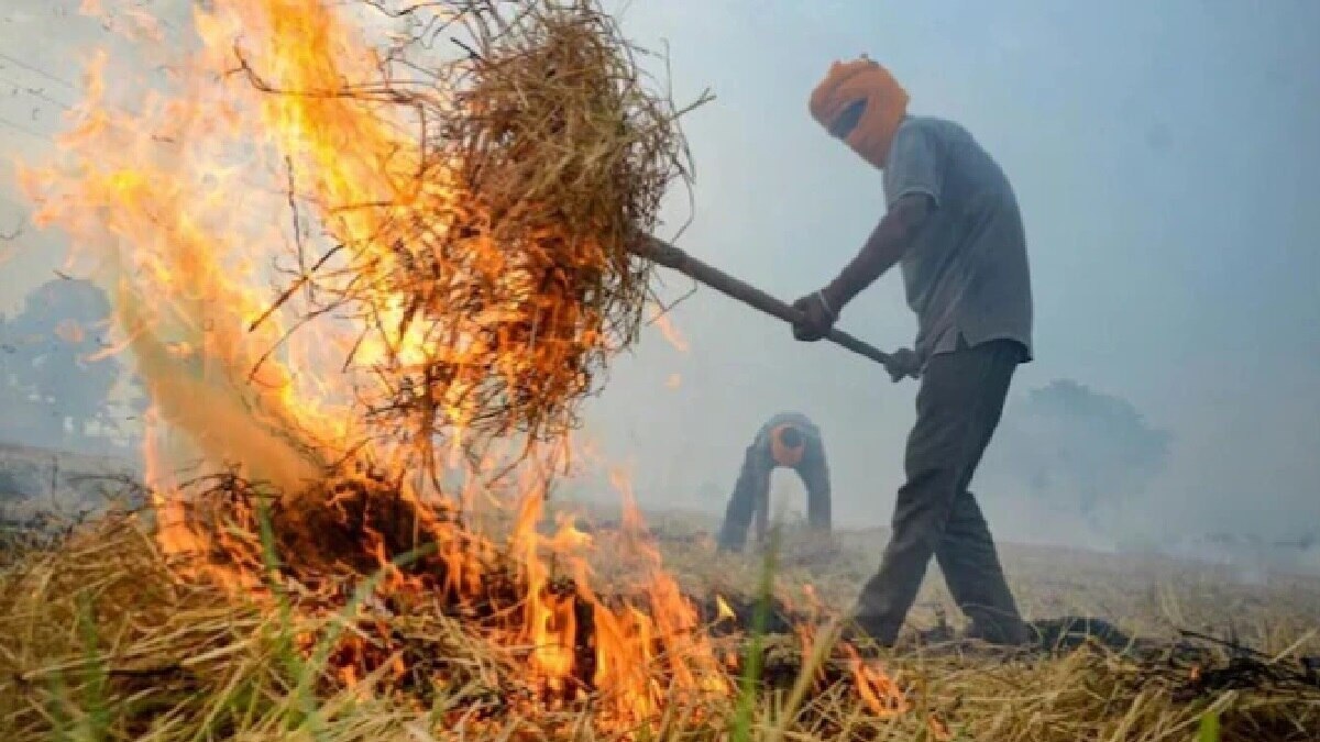 Haryana: करनाल में 24 कृषि अधिकारियों पर गिरी गाज, पराली मामले में हुए सस्पेंड