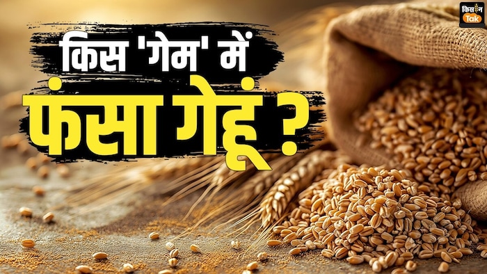 क्या भारत करेगा गेहूं का आयात?