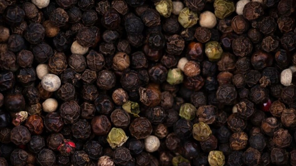 श्रीलंकाई काली मिर्च की आवक से बाजार हिला, 15 दिन में 19 रुपये गिरा दाम अभी और नीचे जाएगा?    श्रीलंकाई काली मिर्च की आवक से बाजार हिला, 15 दिन में 19 रुपये गिरा दाम अभी और नीचे जाएगा?