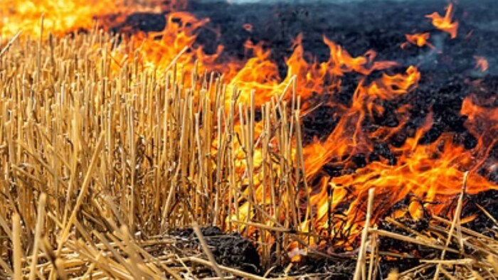 यूपी में पराली जलाने वालों पर सख्त कार्रवाई की तैयारी