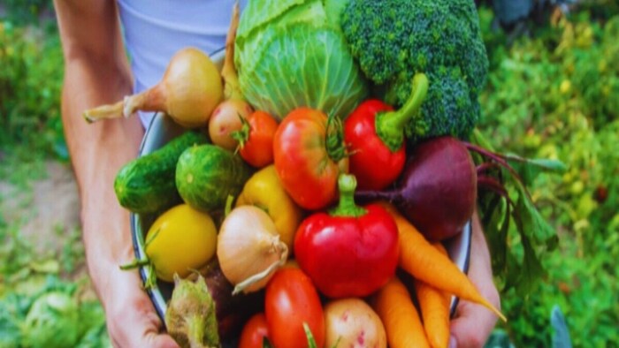 किस सब्जी की वैरायटी है गोल्डन एकर