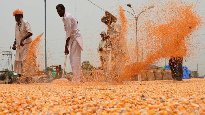 राइजिंग राजस्थान समिट में कृषि क्षेत्र की बहार