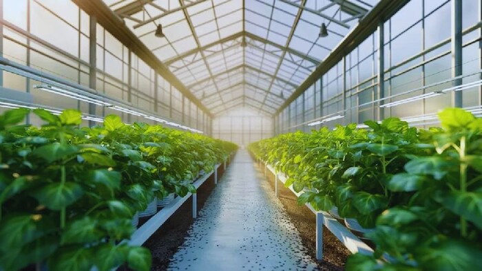 पॉलीहाउस और शेड नेट लगाने पर सब्सिडी