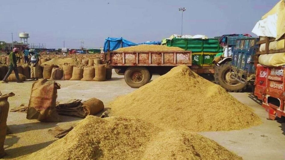 Paddy Procurement: पंजाब में क्यों धीमी है एमएसपी पर धान खरीद की रफ्तार, केंद्र ने बताई बड़ी वजह Paddy Procurement: पंजाब में क्यों धीमी है एमएसपी पर धान खरीद की रफ्तार, केंद्र ने बताई बड़ी वजह
