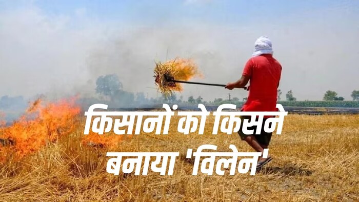पंजाब, हरियाणा में पराली जलाने के कितने मामले?