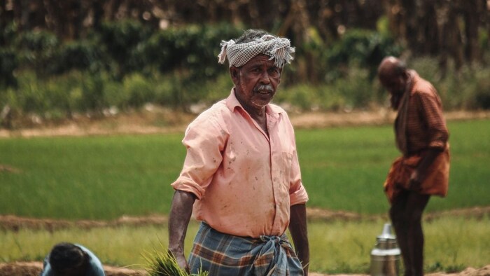 विश्व बैंक के प्रोजेक्ट से केरल के 4 लाख किसानों को होगा फायदा. (Photo Credit- Pexels)