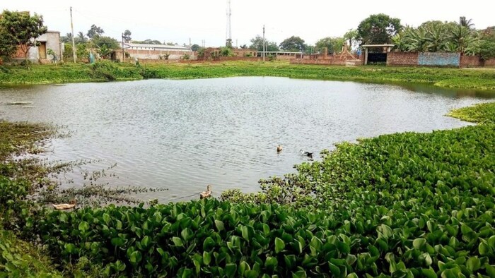 मराठवाड़ा के इलाकों में पिछले साल 40 फीसदी की तुलना में जलाशयों में केवल 19 फीसदी पीने का पानी बचा है. (सांकेतिक तस्वीर)