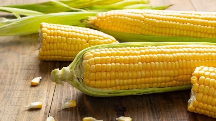 नई स्वीटकॉर्न हाइब्रिड किस्म फसल में लगने वाले भूरे रंग के पत्ती धब्बा रोग को पनपने नहीं देती है.