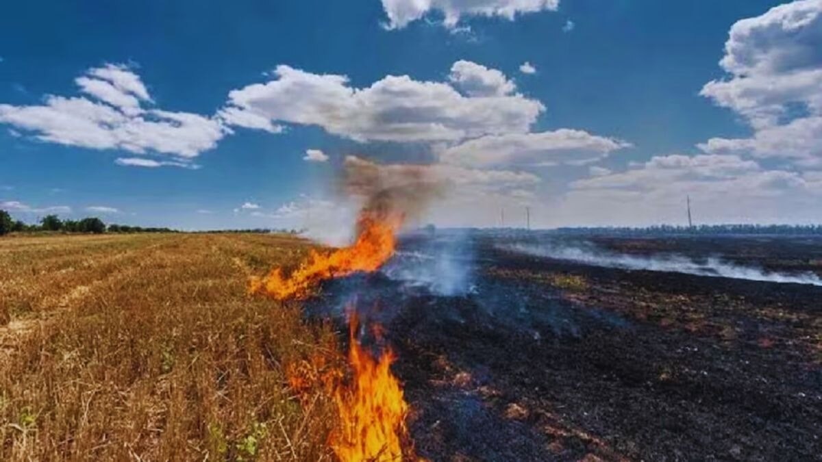 केंद्र ने पंजाब की 1200 करोड़ रुपये की मांग ठुकराई. (सांकेतिक तस्वीर)