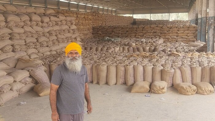पंजाब धान खरीद में गड़बड़ी से जूझ रहा है. यह राज्य प्रशासन की विफलता को दिखाता है.
