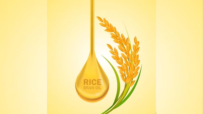 एसईए ने डी ऑइल राइस ब्रान पर रोक हटाने की अपील की है.