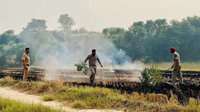Punjab has recorded 1,510 stubble burning incidents so far.