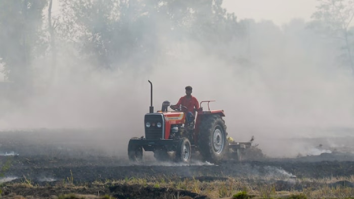बीते साल के कुल आंकड़ों की तुलना करें तो पराली जलाने की घटनाएं 26 फीसदी कम हो गई हैं.