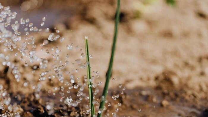 सरकार की तरफ से मिल रही किसानों को खास सुविधा