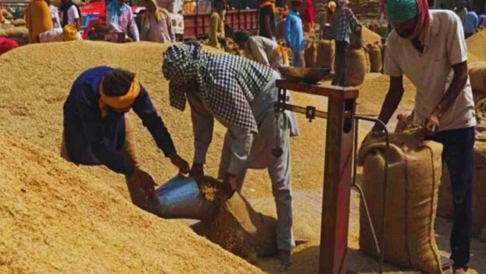 पंजाब में धान की खरीद