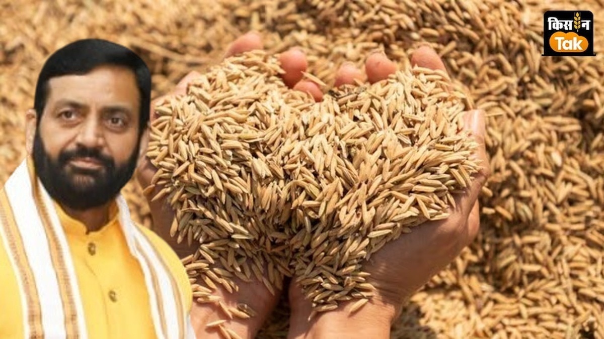 हर‍ियाणा ने हास‍िल क‍िया देश में धान खरीद का सबसे ज्यादा लक्ष्य, आख‍िर क‍िन वजहों से म‍िली सफलता? 