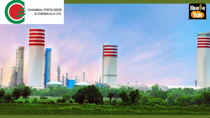चंबल फर्टिलाइजर (CFCL) का मुनाफा 40 फीसदी बढ़ गया है.