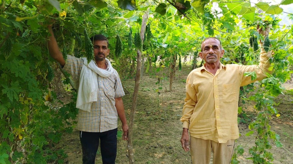 उत्तर प्रदेश के मलिहाबाद के दो किसान राजकुमार और परमेश्वर ने खेती का अनोखा मॉडल तैयार किया हैं (Photo- Credit Kisan Tak)