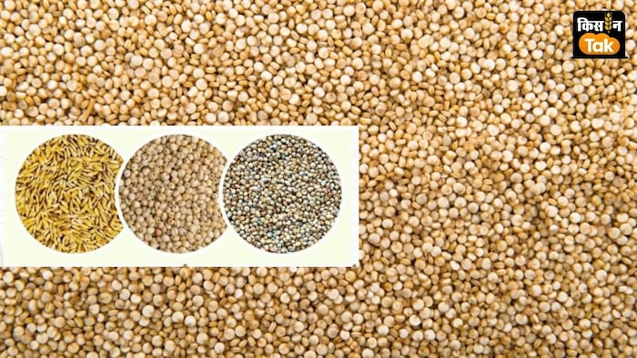 किसानों की उपज का भुगतान सीधे बैंक खाते में किया जाएगा.