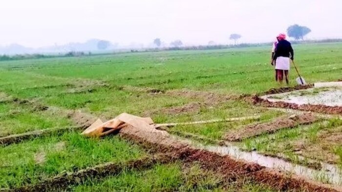 रबी फसलों की बिजाई और सिंचाई को लेकर किसान चिंतित. (सांकेतिक तस्वीर)