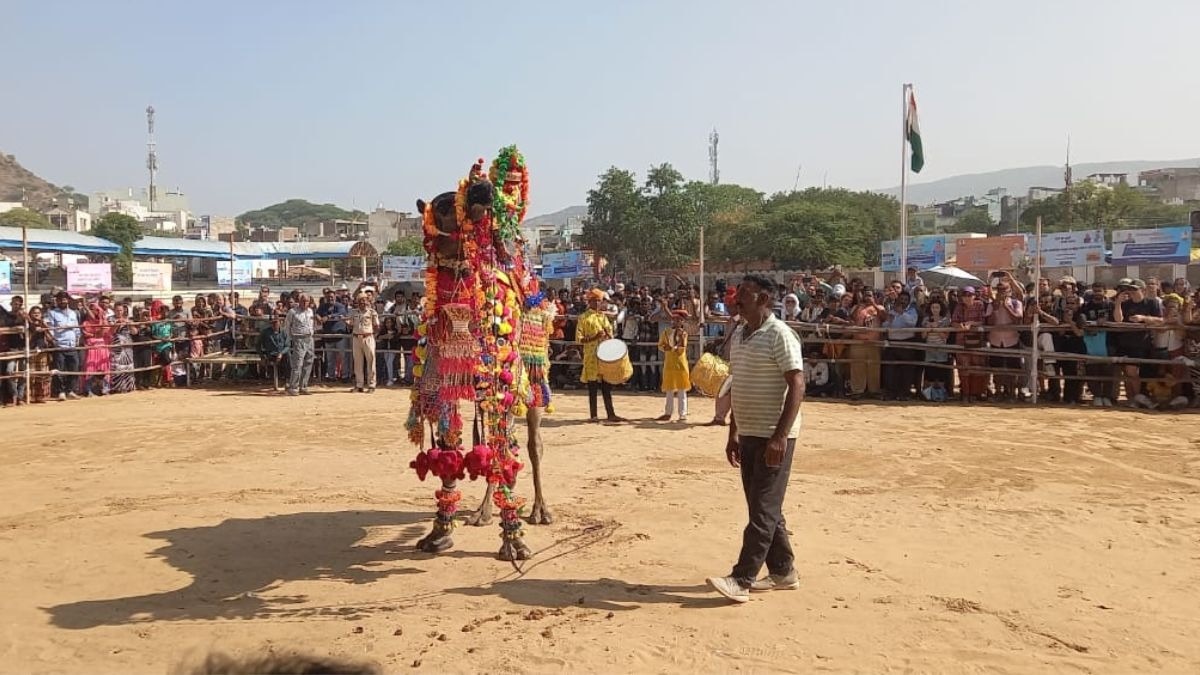 Pushkar Pashu Mela: पुष्कर मेले में 4 लाख रुपये की बिकी नुकरी घोड़ी, अब तक बिके 2.27 करोड़ के घोड़े 