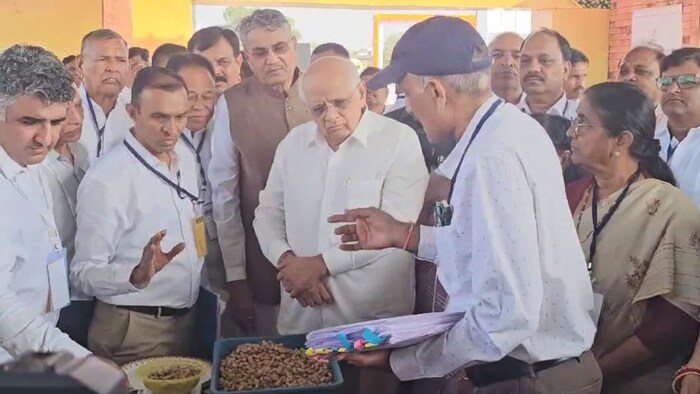 गुजरात में मूंगफली समेत कई फसलों की समर्थन मूल्य पर खरीद