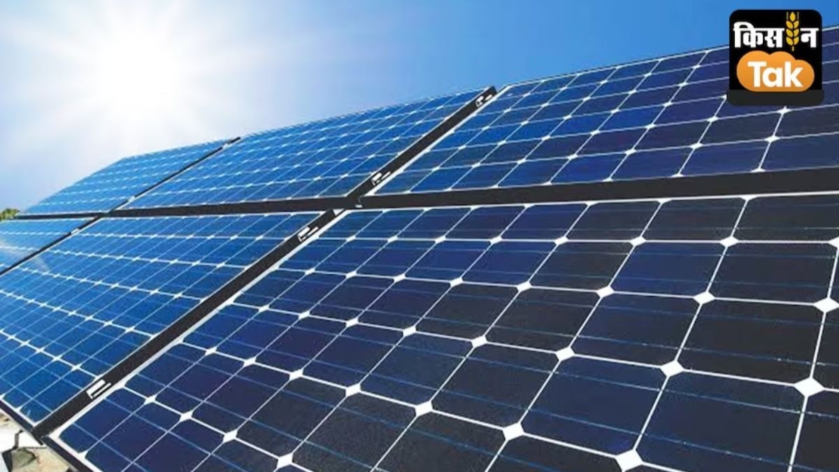 Waaree Energies share price: BSE and NSE today sought clarification from the company on the stock price movement.