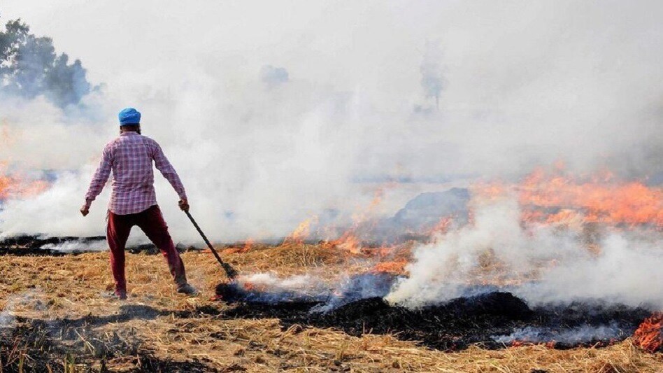 55 दिन में 7 हजार पराली जलाने के नए मामलों से हड़कंप, पंजाब-हरियाणा के कई शहरों की हवा बिगड़ी  55 दिन में 7 हजार पराली जलाने के नए मामलों से हड़कंप, पंजाब-हरियाणा के कई शहरों की हवा बिगड़ी
