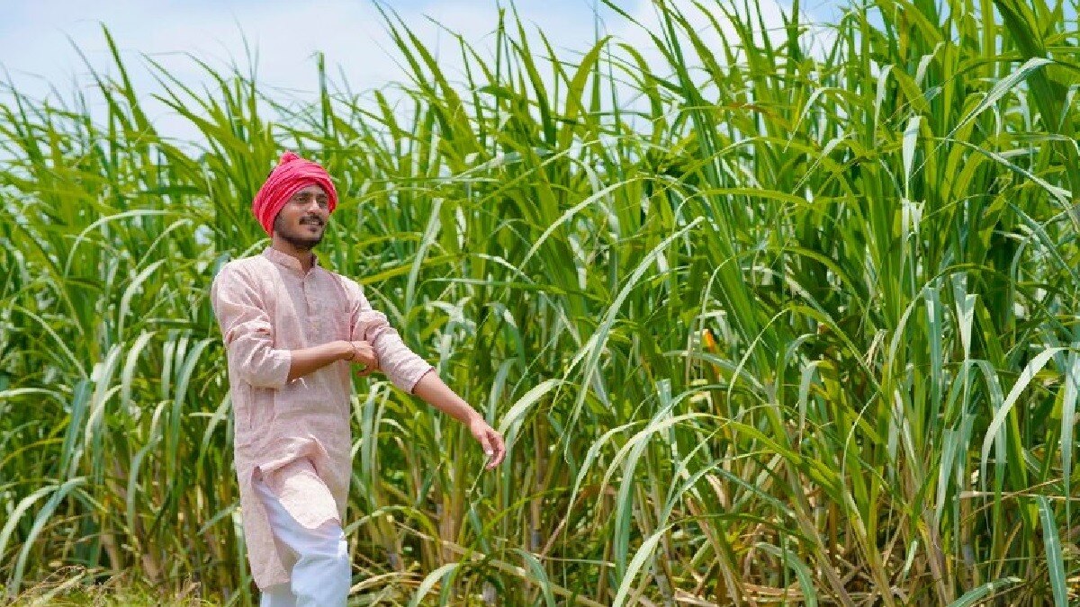 महाराष्ट्र के चीनी उद्योग की उपेक्षा पर कांग्रेस हमलावर, बीजेपी से पूछा- क्यों नहीं रुक रहे किसानों की सुसाइड के मामले