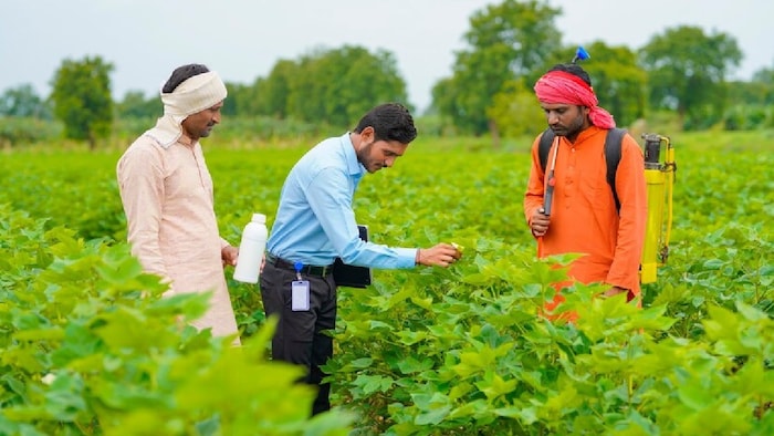 खरीफ सीजन में हर्बीसाइड प्रोडक्ट की बिक्री में बड़ा उछाल देखा गया है.
