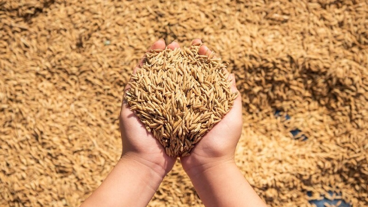 क्रय केंद्र पर परेशानी होने पर किसान कंट्रोल रूम में शिकायत कर सकेंगे.