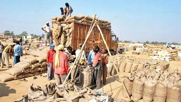 सबसे कम परमल धान की आवक झज्जर और फरीदाबाद में दर्ज की गई है.