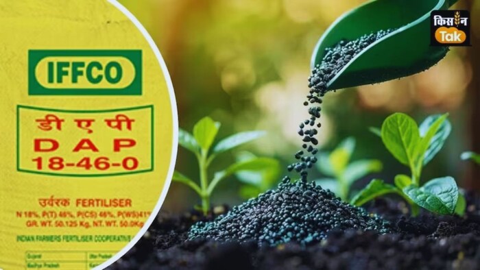 डीएपी संकट