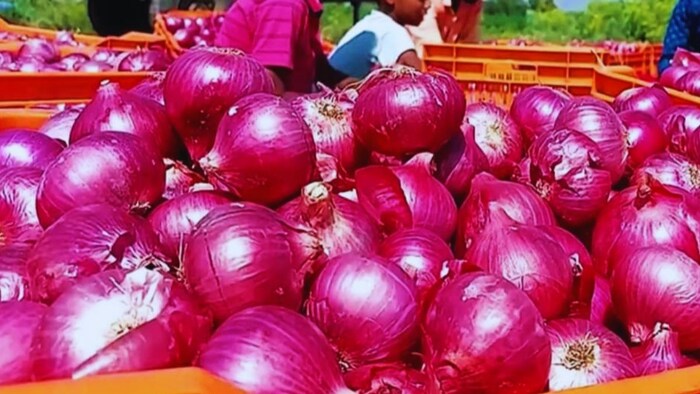 मलेशिया ने गुजरात से खरीदा प्याज