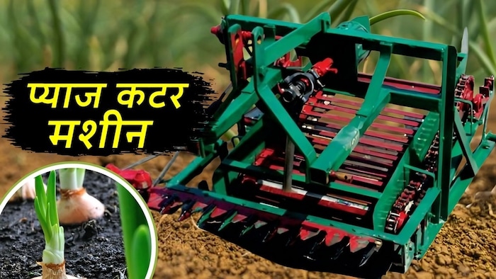 onion cutter machine