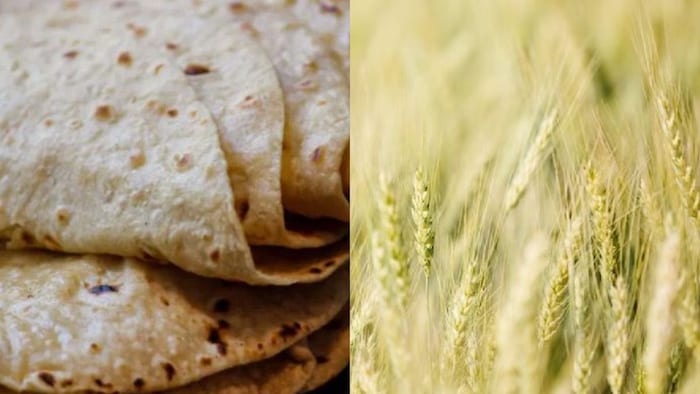 गेहूं की इन किस्मों से बढ़ेगा रोटी का पोषण. (सांकेतिक फोटो)