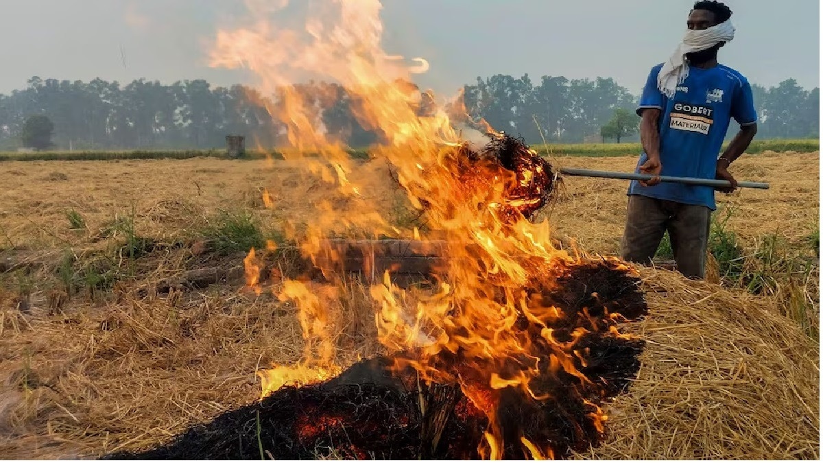 पराली जलाने के आरोपी 3846 किसानों पर 1.30 करोड़ का जुर्माना, 4097 पर एफआईआर भी दर्ज