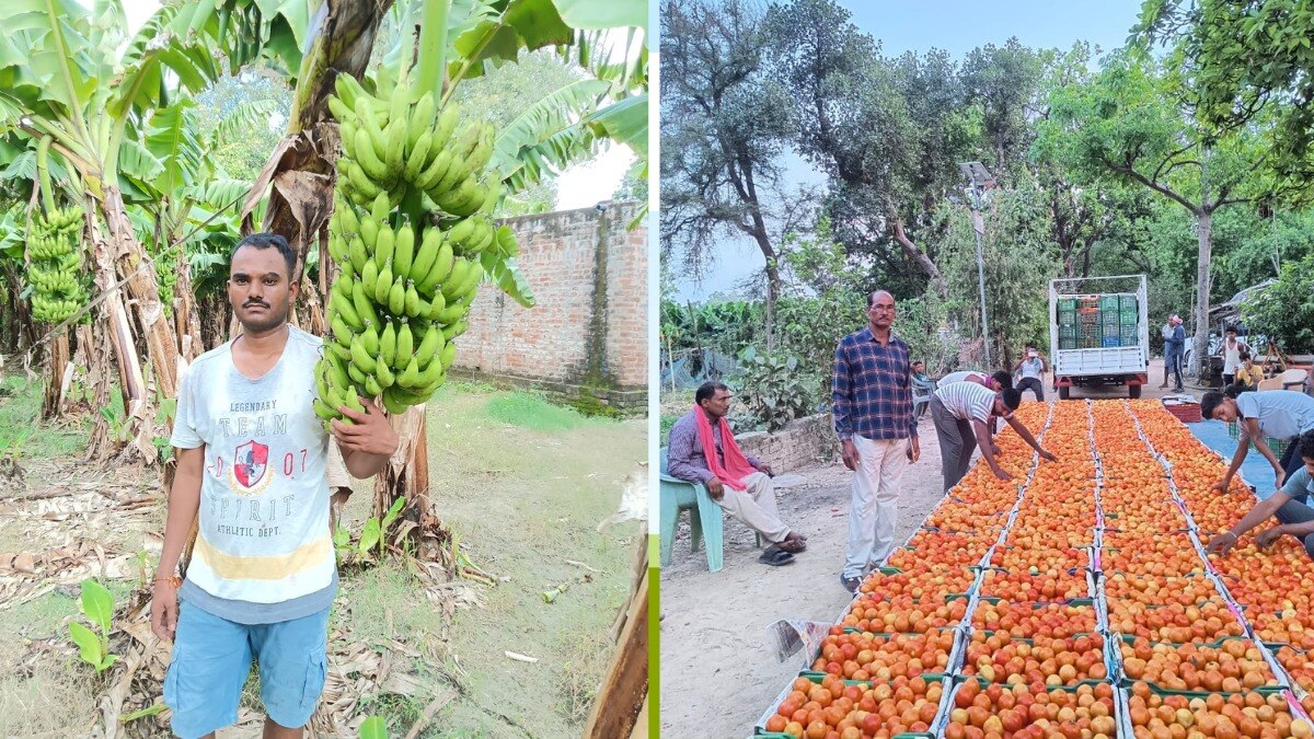 यूपी में कृषि निर्यातकों को रेड कार्पेट सुविधा देने की तैयारी, किसानों की आय में ऐसे होगा इजाफा