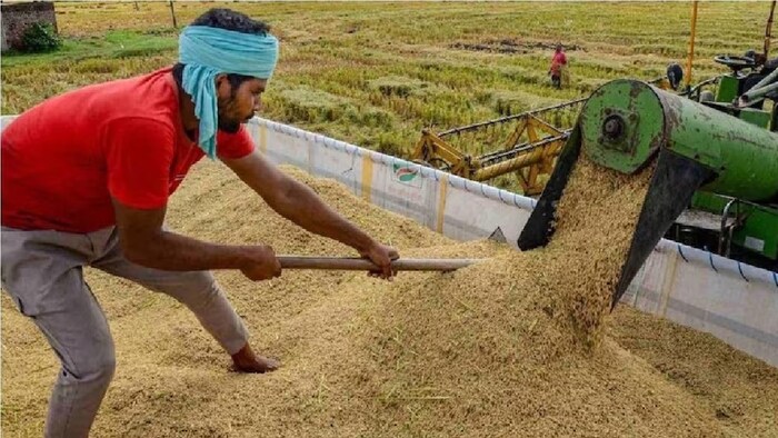 हरियाणा में धान खरीद की अंतिम तारीख 15 नवंबर को समाप्त हो गई है.