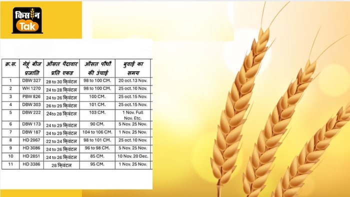 उत्तर प्रदेश के कृषि विभाग ने गेहूं बुवाई की तैयारी कर रहे किसानों के लिए उत्तम किस्म के बीजों की सूची जारी की है.