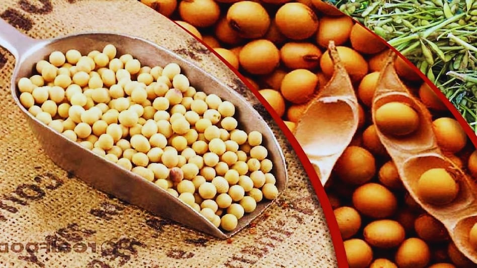 महाराष्ट्र में सोयाबीन बिक्री के लिए बढ़ी रजिस्ट्रेशन की तारीख़, किसान तुरंत नोट कर लें ये डेट महाराष्ट्र में सोयाबीन बिक्री के लिए बढ़ी रजिस्ट्रेशन की तारीख़, किसान तुरंत नोट कर लें ये डेट