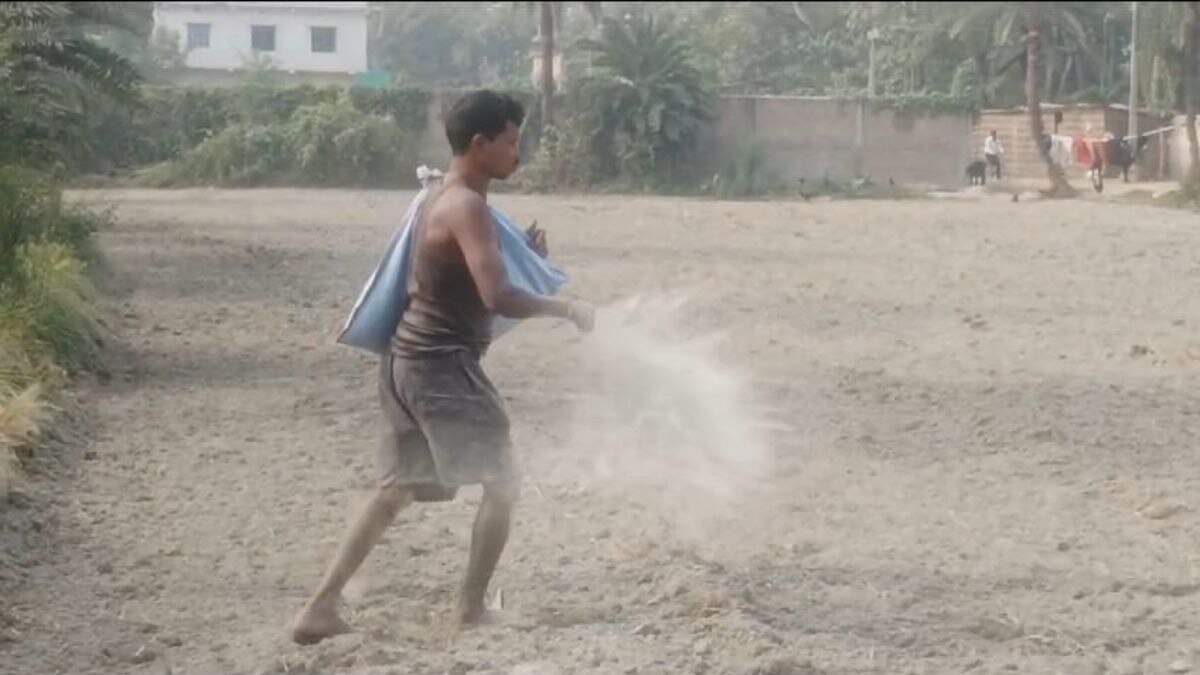 गेहूं के बीज की कमी