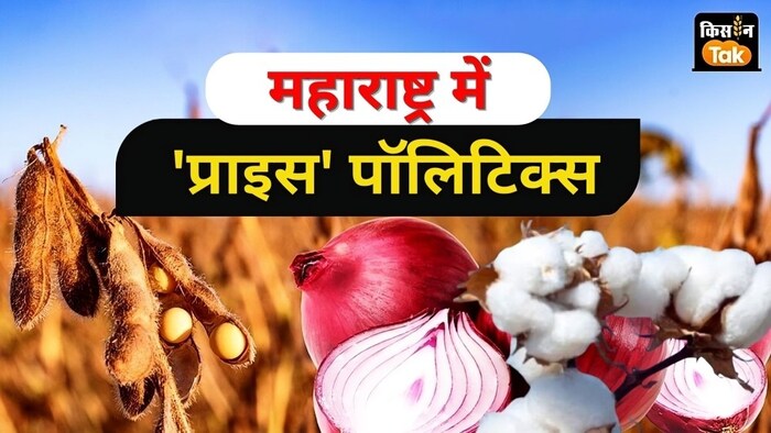 सोयाबीन और कॉटन के कम दाम से नाराज हैं किसान.