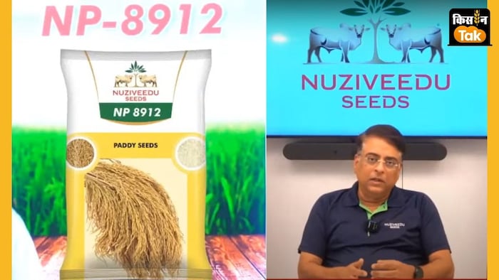 यह बीज किसानों को अधिक उत्पादन देने के साथ ही प्रीमियम क्वालिटी वाले चावल के दाने देता है.
