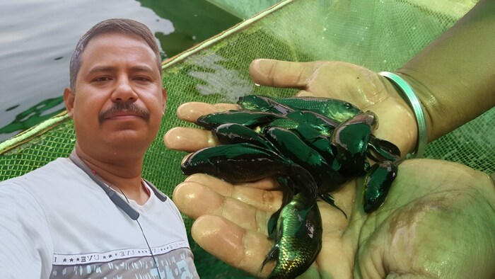 fish farming success story