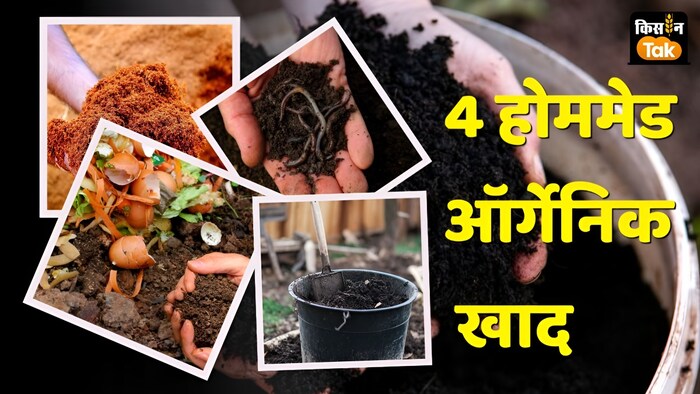 organic home made fertilizer