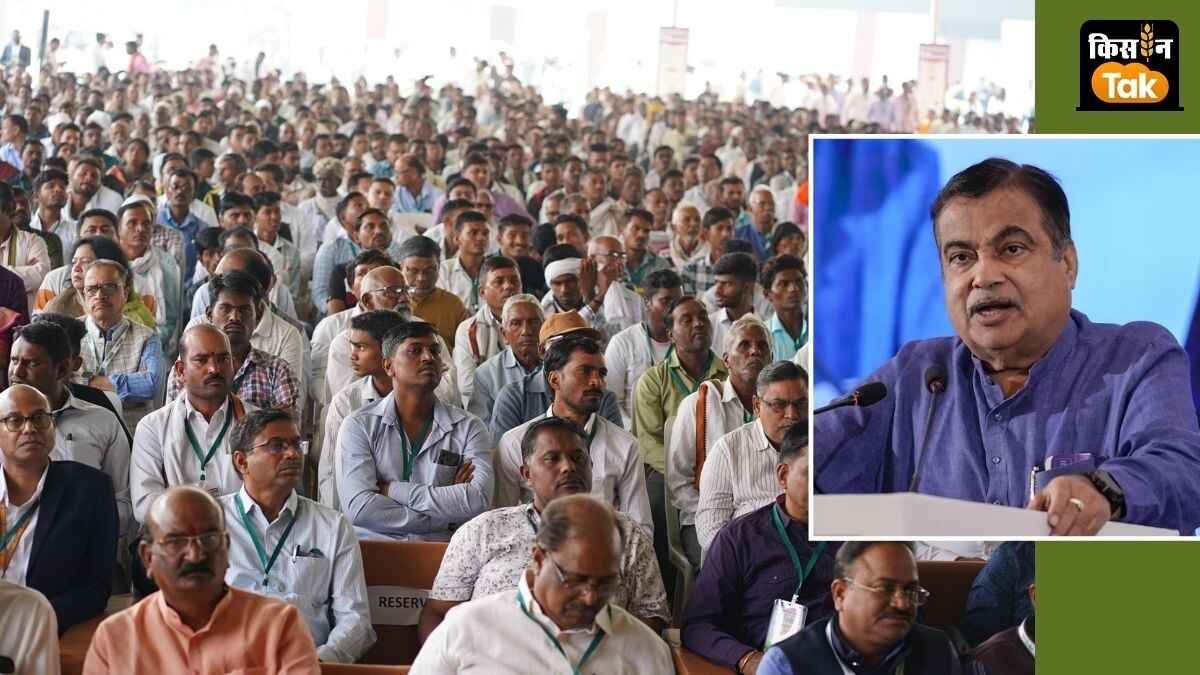 संतरा उत्पादन बढ़ाने के लिए क्या करें किसान? केंद्रीय मंत्री नितिन गडकरी ने बताए उपाय, पढ़ें डिटेल्स   